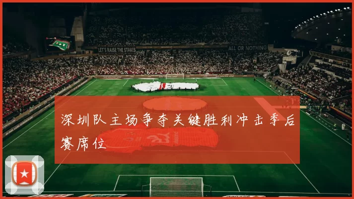 深圳队主场争夺关键胜利冲击季后赛席位